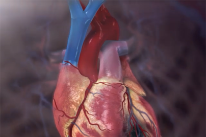 The Importance of Seeing a Cardiologist Early to Prevent Future Heart Problems