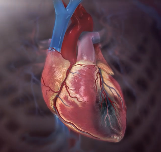 The Importance of Seeing a Cardiologist Early to Prevent Future Heart Problems