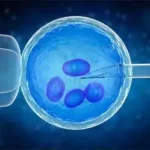 Can You Combine In Vitro Fertilization With Other Procedures?