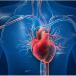 What To Expect During the Nuclear Stress Testing