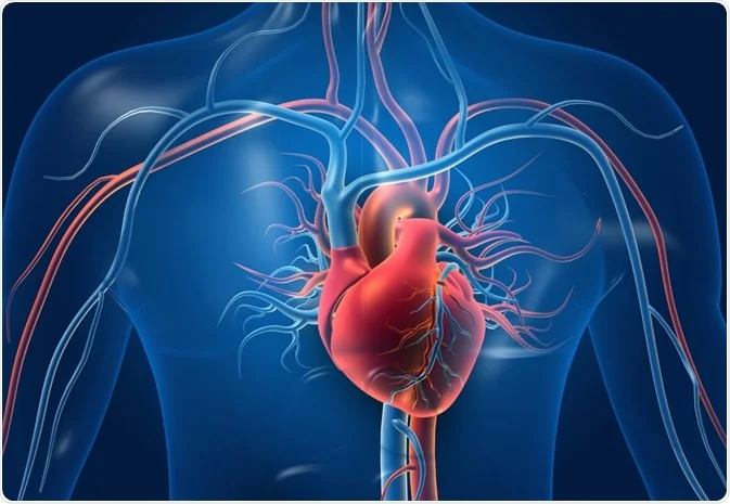 What To Expect During the Nuclear Stress Testing