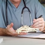 What to Look For When Choosing the Right Orthopedic Surgeon