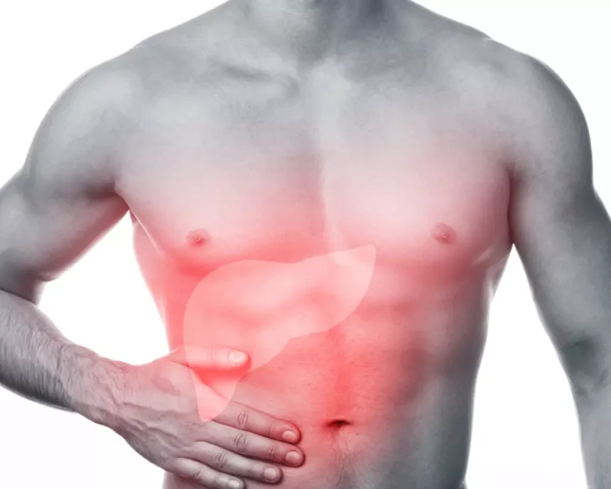 The Connection Between Diet and Gallbladder Health