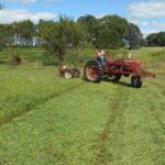 AGTalk Market Talk